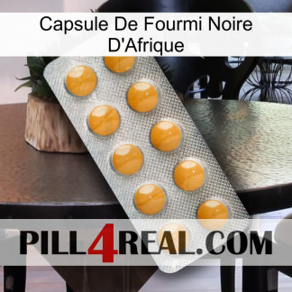 Africa Black Ant Capsule levitra1